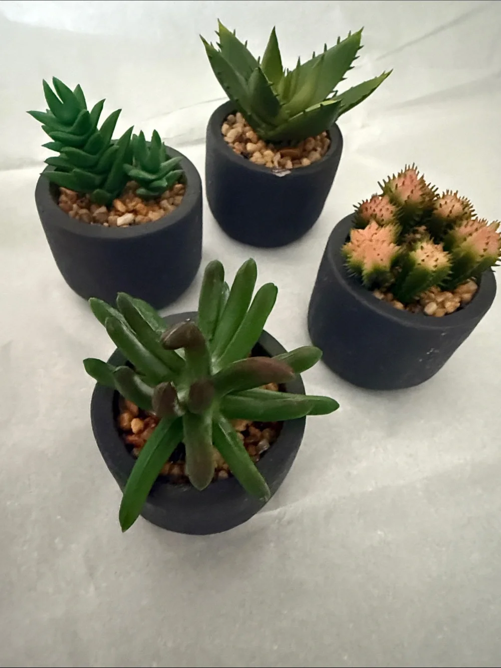 Green Faux Succulent Set in Charcoal Pots - Home Accents